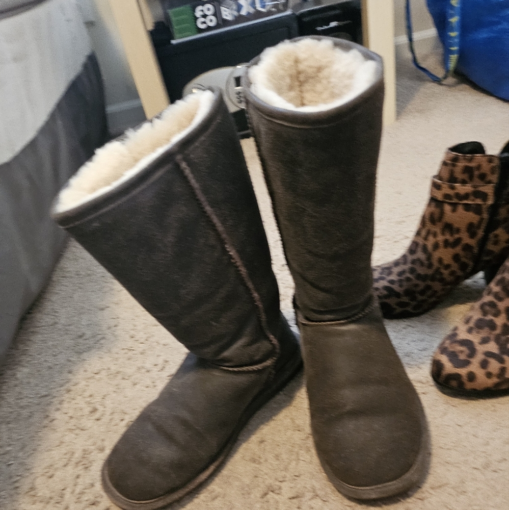 Bearpaw boots tall